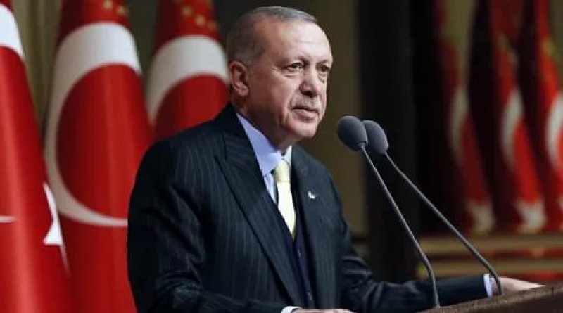 Erdoğan: Yanan ormanlarımız tekrardan canlandırılacak, başka bir amaç için kullanılmayacak