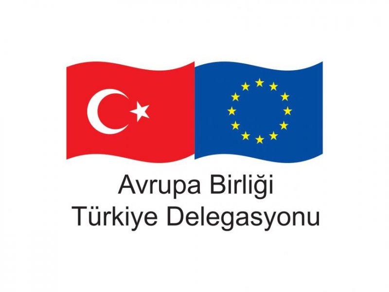 AB Türkiye Delegasyonundan 'Erasmus' açıklaması