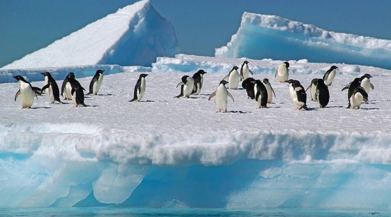 Antarktika korkuttu: New York’un 1,5 katı büyüklüğünde buz kütlesi koptu