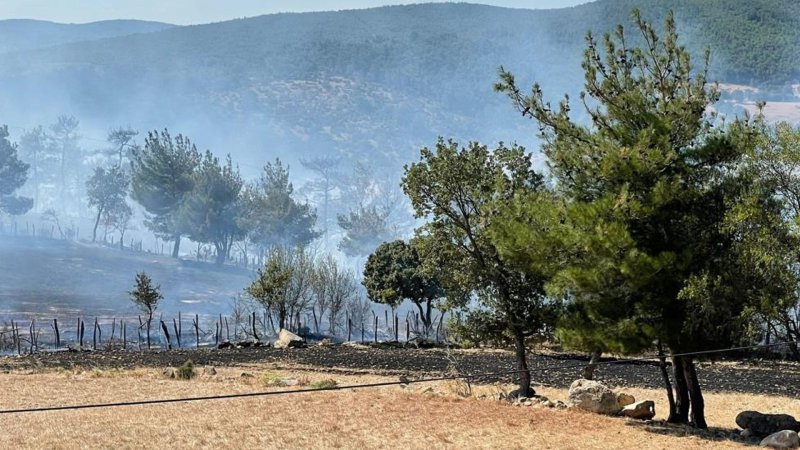 Çanakkale'deki orman yangınında 30 hektarlık alan zarar gördü