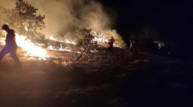 Bingöl'deki orman yangınına 3'üncü günde müdahale sürüyor
