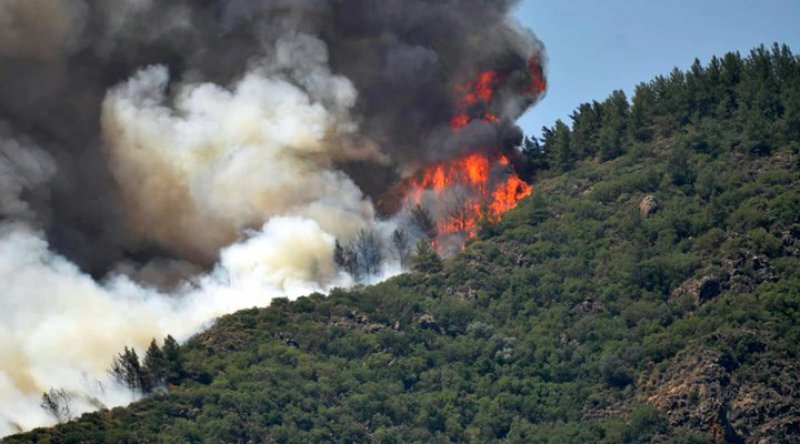 Orman Genel Müdürlüğü: Yangın söndürme çalışmalarında bir personelimiz şehit oldu