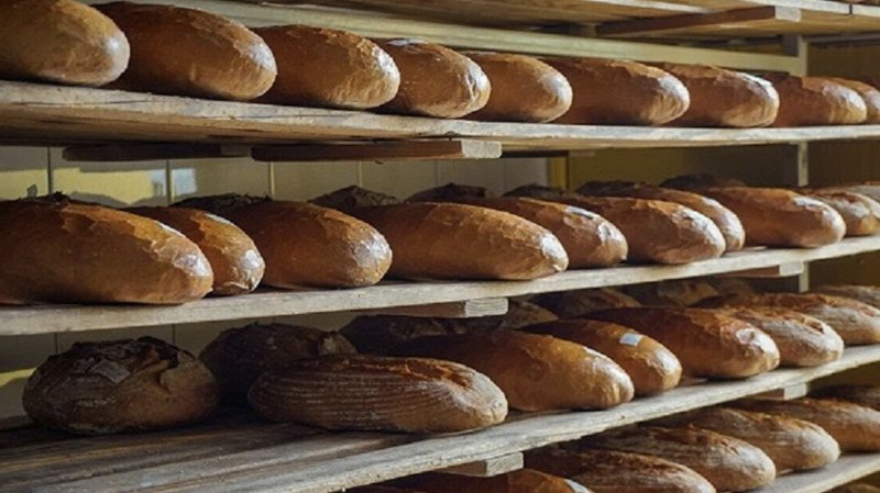 İsrafın ulaştığı boyut: Günde 10 milyon ekmek çöpe gidiyor