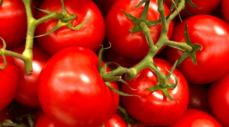 Pekcan: Rusya'nın uyguladığı domates ihracatı kotası 250 bin tona yükseltildi