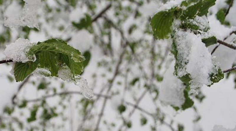 Meteoroloji'den "kar, buzlanma ve don" uyarısı