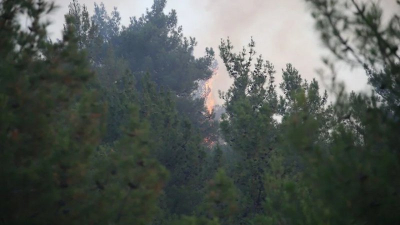Mersin'deki orman yangınında 4 gözaltı