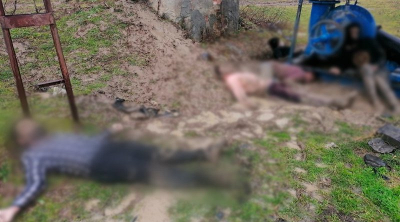 Valilik: Sınırda donarak ölen 9 göçmenin cansız bedenine ulaşıldı