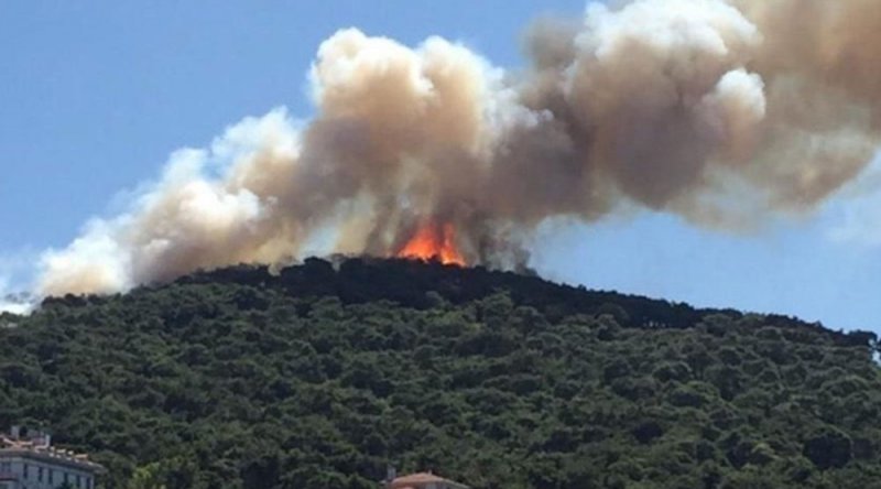 Heybeliada'daki orman yangınına ilişkin soruşturma başlatıldı