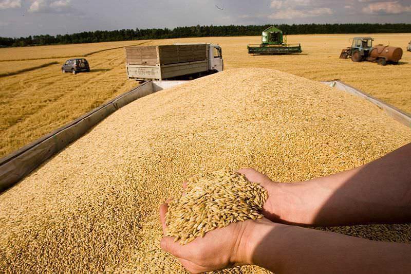 Rusya dünyada tahıl krizi mi çıkarmak istiyor?