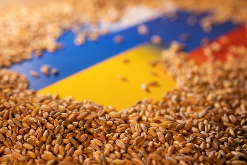 Kremlin: Ukrayna limanlarda ki mayınları temizlerse, tahıl sevkıyatı başlayabilir