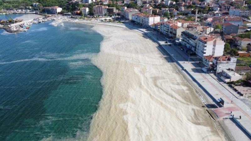 Bakan Kurum'dan müsilaj açıklaması: Marmara Denizi'nin 30 metre derinliğine oksijen verilecek