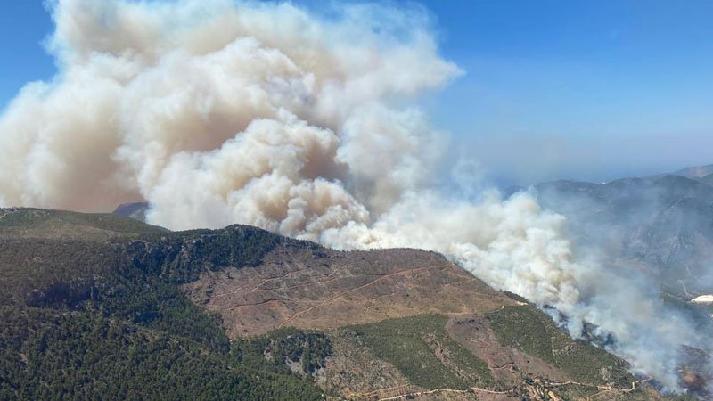 Mersin’deki orman yangını büyüyor: "Riskli bir yangınla karşı karşıyayız"