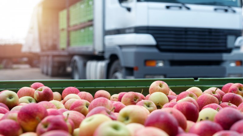 Gıda ihracatı ilk kez 20 milyar doları aşacak