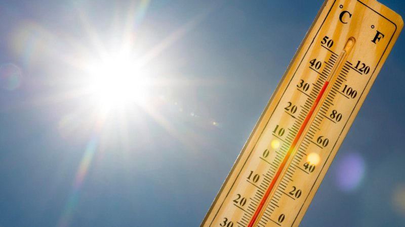 Türkiye'de geçen ay son 51 yılın en sıcak 2. ocak ayı yaşandı