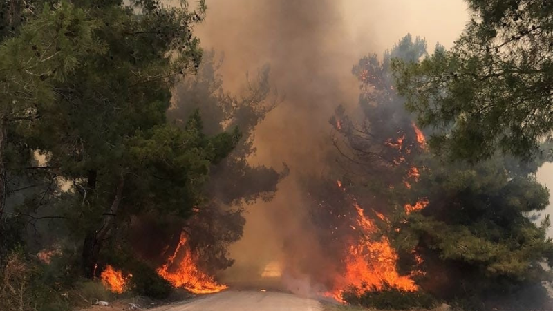 Adana'da orman yangını; havadan ve karadan müdahale sürüyor