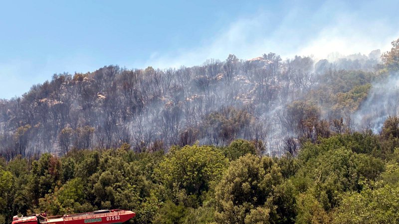 Kaş’ta çıkan orman yangınında 3 hektar alan zarar gördü