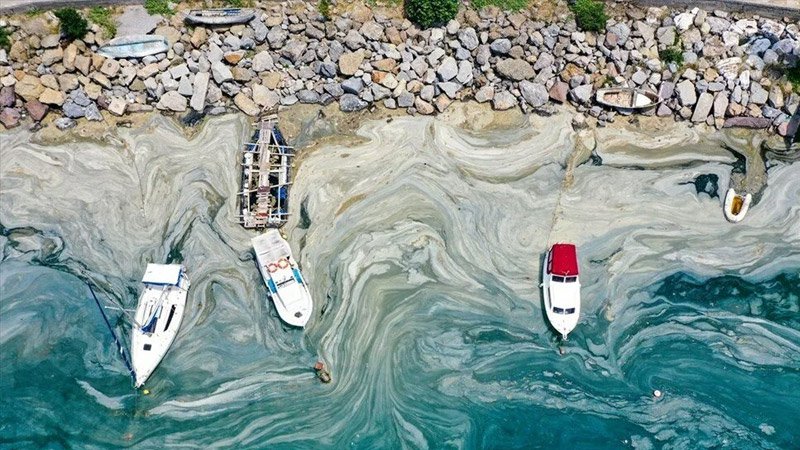 ODTÜ, Marmara Denizi'nde inceleme yaptı: Müsilaj, oksijeni 2,5-3 saatte tüketiyor