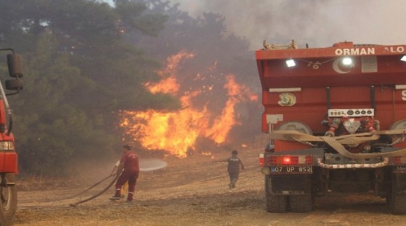 Denizli'de de orman yangını!