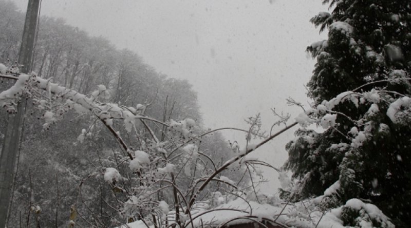 Rize'de kar yağışı; 89 köy yolu kapandı
