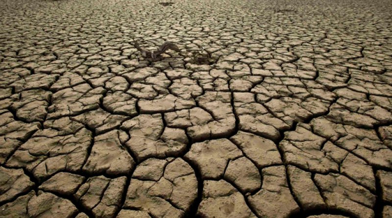 WWF Türkiye'yi kuraklık konusunda uyardı