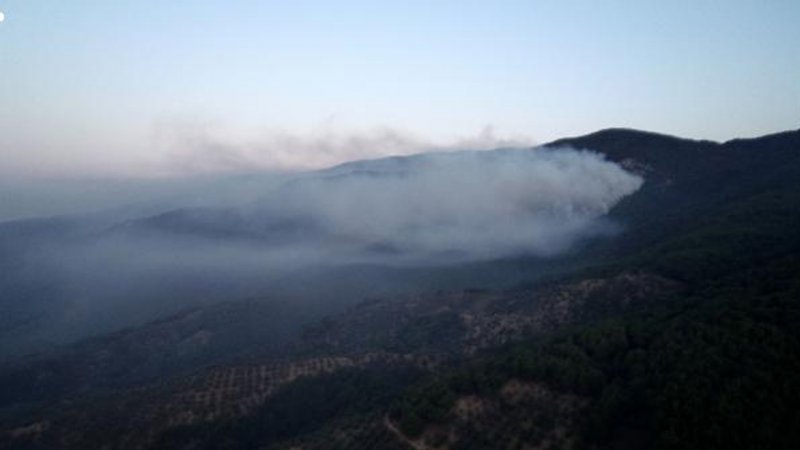 Kazdağları'ndaki yangın sürüyor: Havadan müdahale yeniden başladı