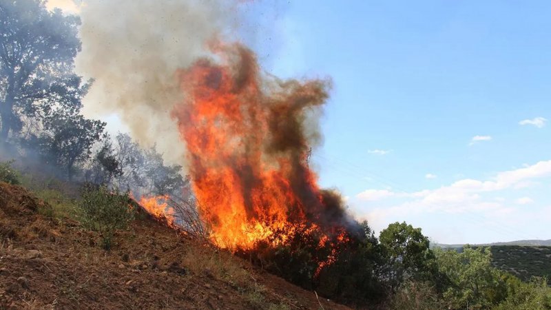 Manisa’da çıkan orman yangını kontrol altına alındı