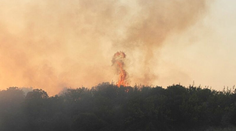 Manisa'da çıkan orman yangınında 10 dönüm alan zarar gördü