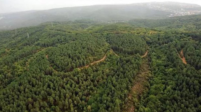 Mersin ve Ankara'da bazı alanlar orman sınırları dışına çıkarıldı