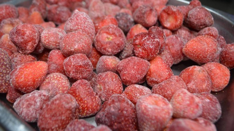 30 ülkeye dondurulmuş meyve ihracatı