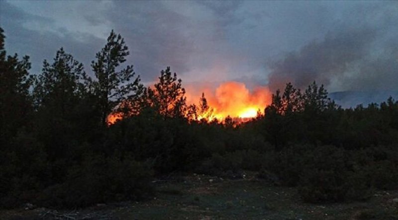 Muğla'daki orman yangınlarına 'sabotaj' soruşturması