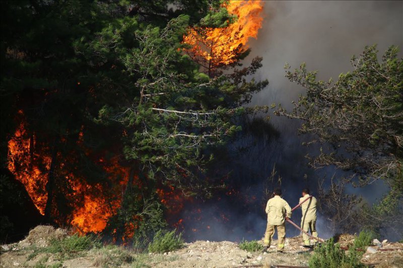 Hatay'ın Samandağ ilçesinde orman yangını
