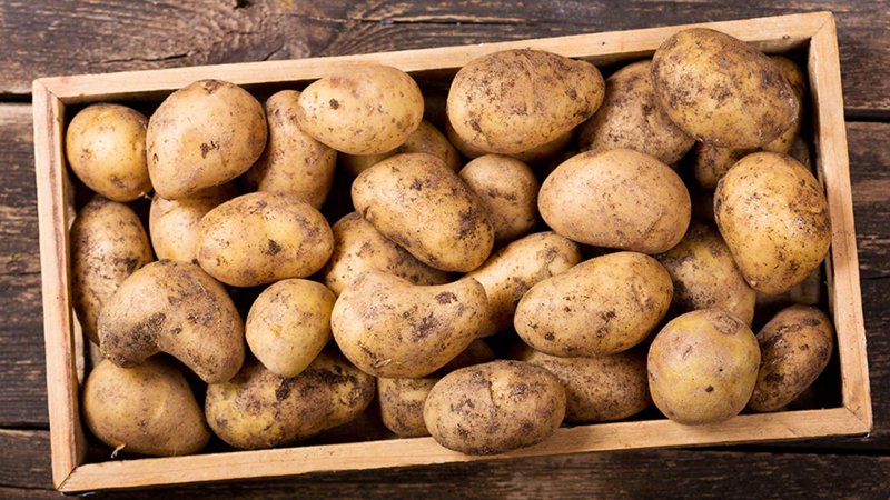 Zam şampiyonu patates! Bir yıl içinde yüzde 342 artış