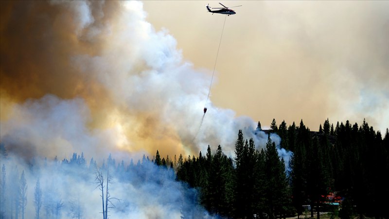 Kaliforniya'da orman yangınları sürüyor: Bir çok noktada acil durum ilan edildi, onlarca ev kullanılamaz halde