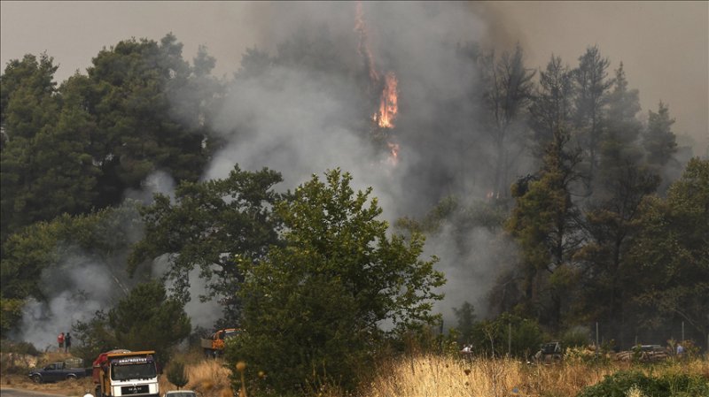 Yunanistan'da bir günde 61 orman yangını