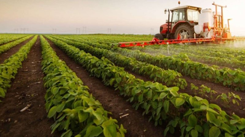 Tarımda üretici enflasyonu yıllık yüzde 36,39 arttı
