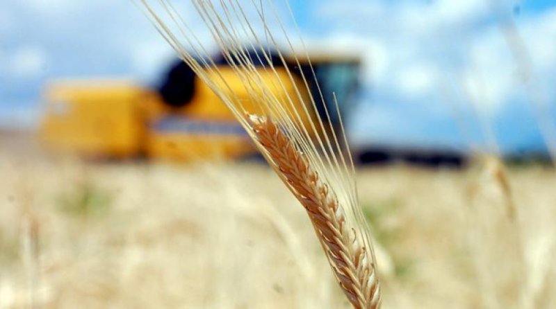 Tarım ÜFE durdurulamıyor: Şubatta aylık bazda yüzde 2,61 arttı