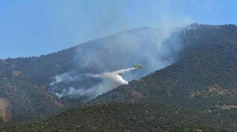 Orman Genel Müdürlüğü'nden Tunceli'deki yangınla ilgili açıklama