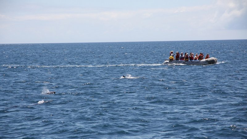 Akdeniz'de göçmen teknesi battı; en az 43 kişi hayatını kaybetti