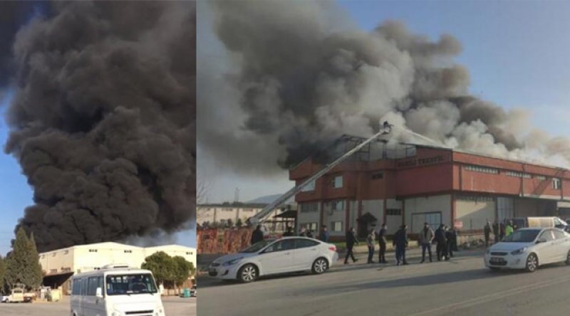 Denizli'de korkutan fabrika yangını