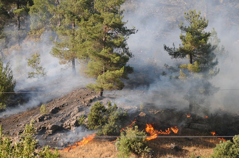 Kahramanmaraş’ta orman yangınları: 2 hektarlık alan zarar gördü