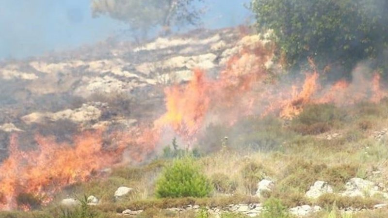 Yahudi yerleşimciler Filistinlilerin buğday tarlalarını ateşe verdi