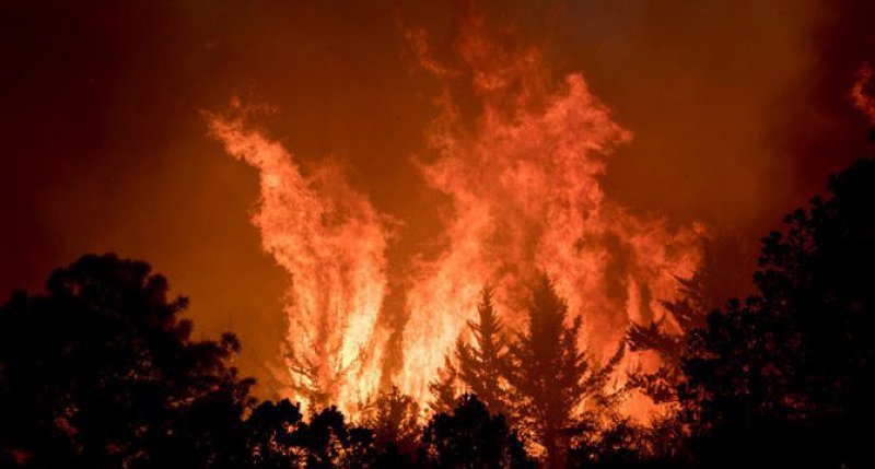 Meksika'da orman yangını: 400 kişi tahliye edildi