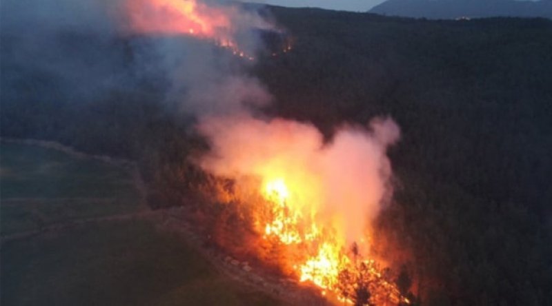 Muğla’da 60 futbol sahası kadar ormanlık alan yandı