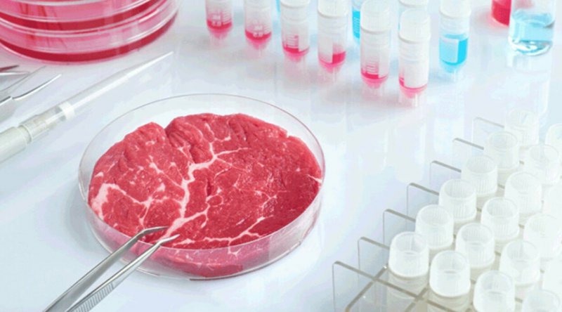 Bilim insanları laboratuvarda et üretti!
