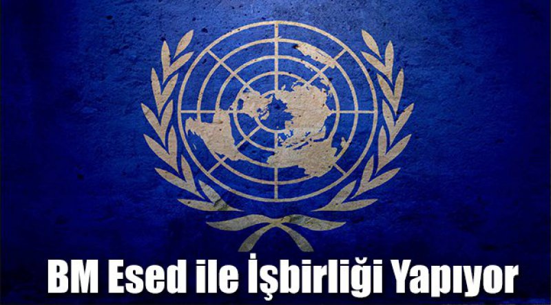 BM Esed ile İşbirliği Yapıyor