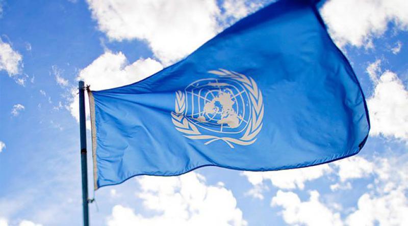 BM'den Zimbabve&#39;ye İtidal Çağrısı