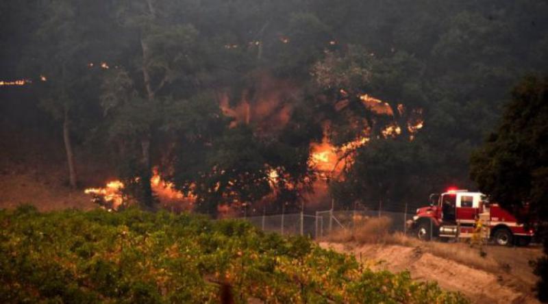 California tarihindeki en büyük orman yangını: 31 ölü