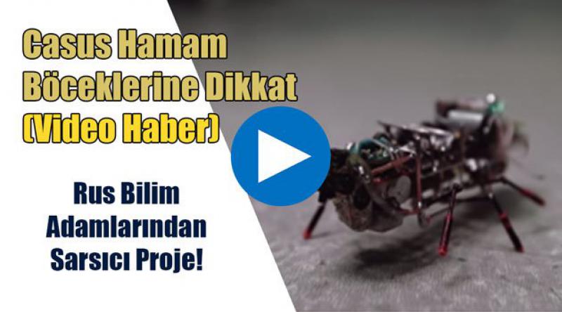 Casus Hamam Böceklerine Dikkat (Video Haber)