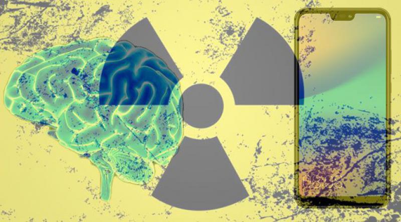Cep Telefonu Radyasyonu Tahmin Edilenden Daha Tehlikeli
