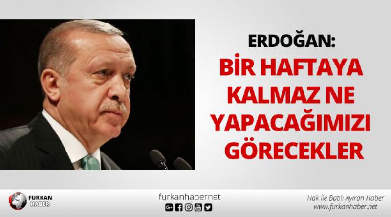 Erdoğan: Bir haftaya kalmaz ne yapacağımızı görecekler